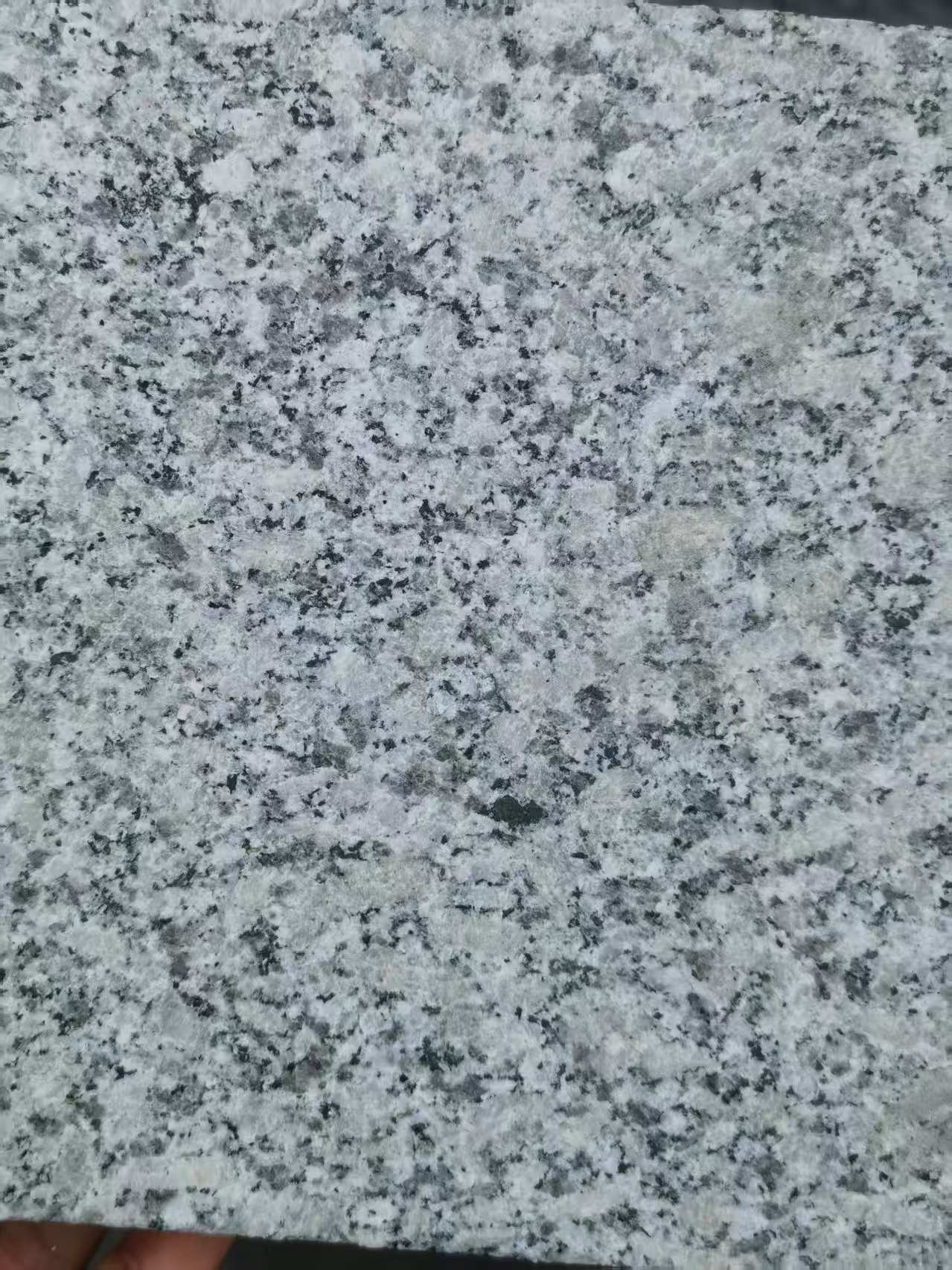 伊春 芙蓉白火烧面
