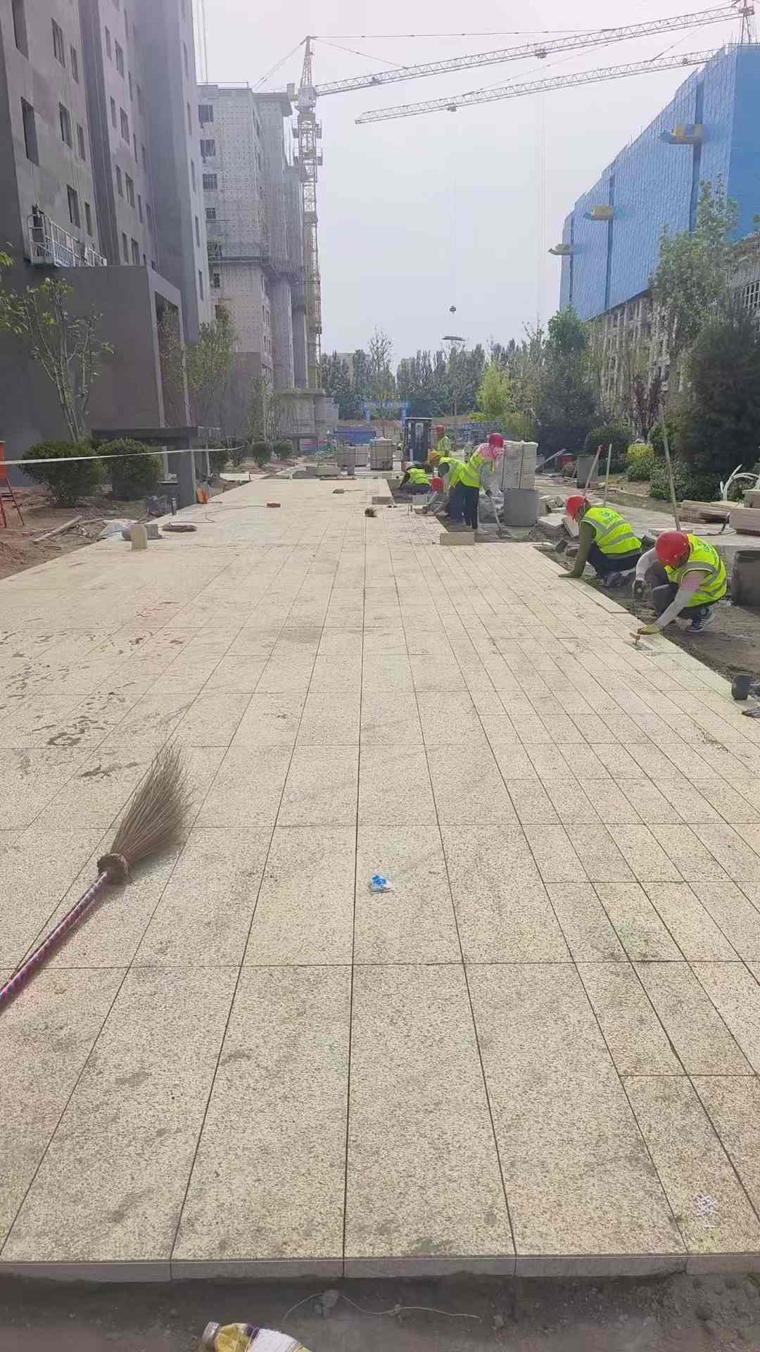 伊春黄金麻荔枝面地铺案例