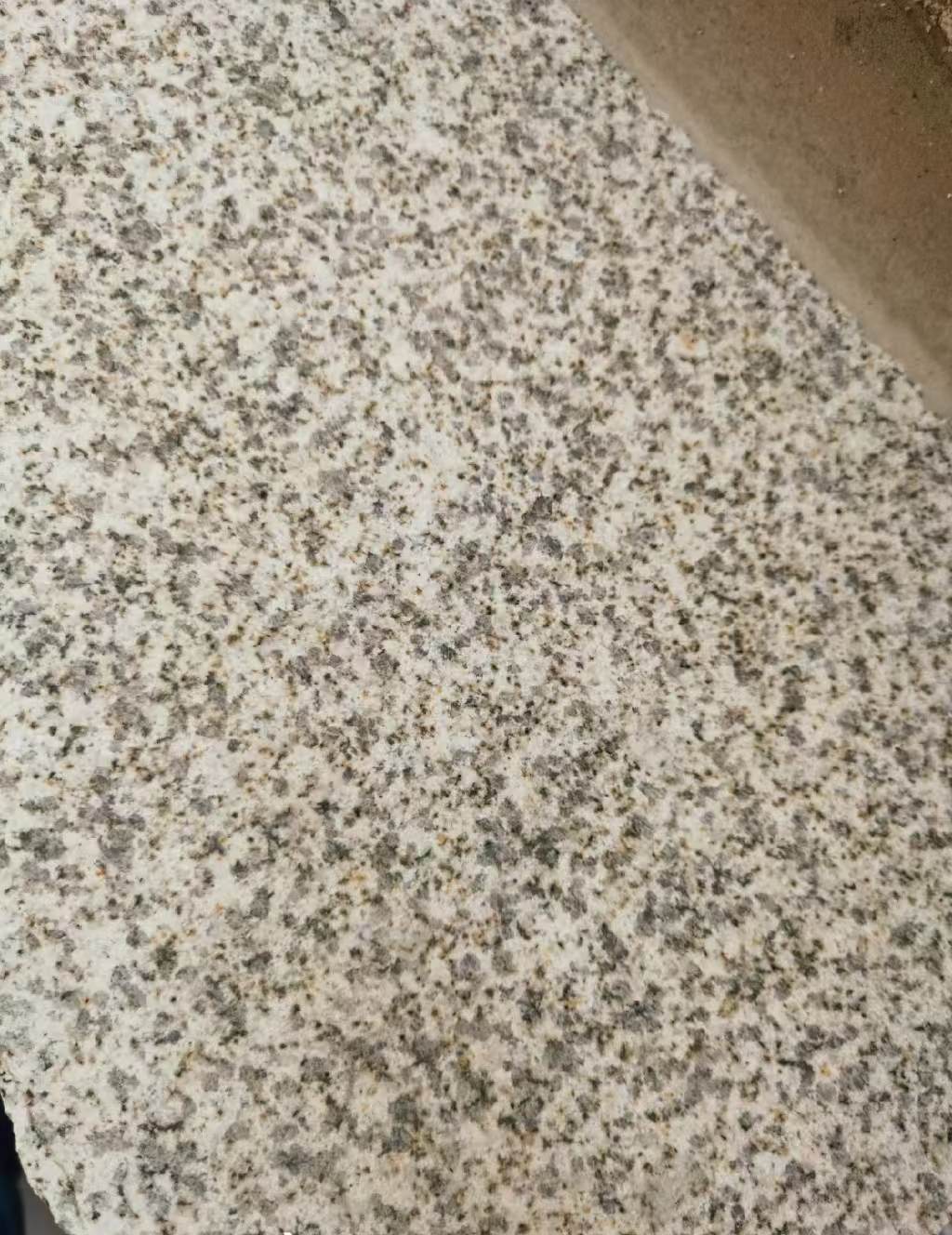 伊春 黄金麻中黄光面